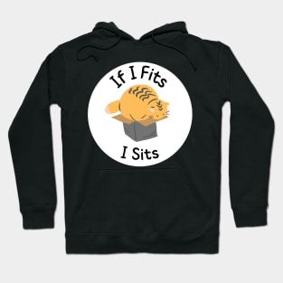 Cute Cat If I Fits I Sits Hoodie